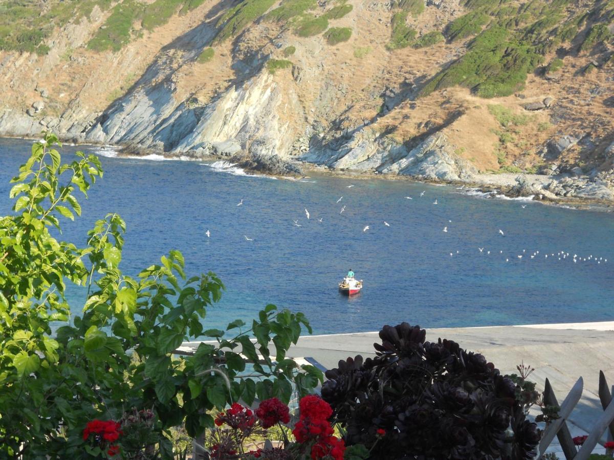 Bel Mare Hotel Agioi Apostoloi  ภายนอก รูปภาพ